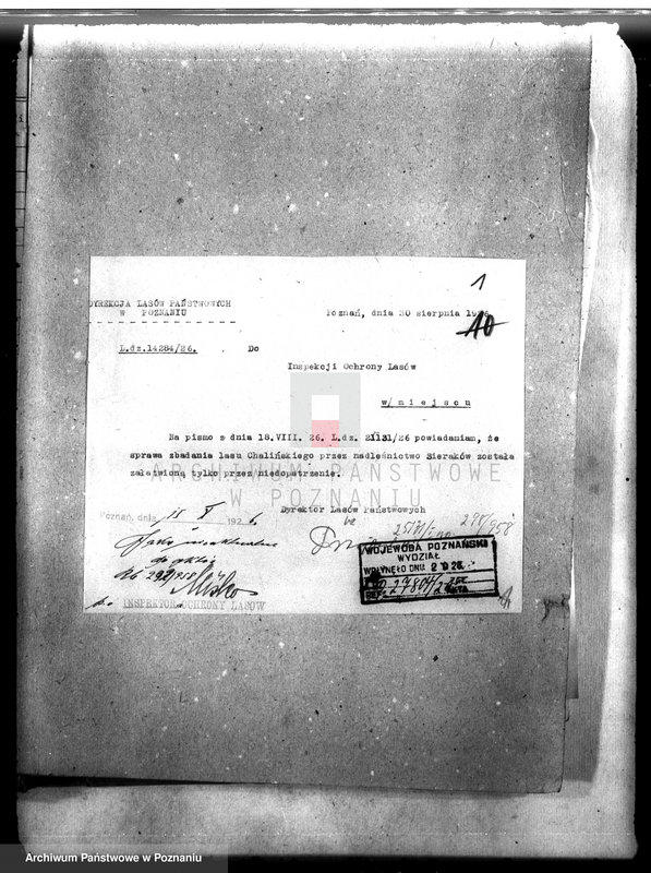 Obraz 5 z jednostki "Majętność leśna Chalin powiat międzychodzki"