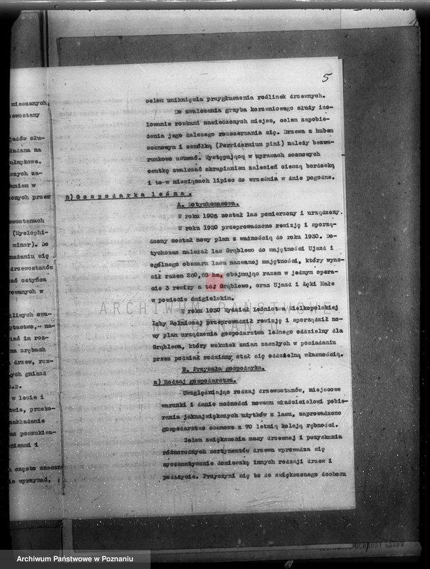 Obraz 9 z jednostki "Plan urządzenia gospodarstwa leśnego dla lasu majętności Grąblewo w powiecie nowotomyskim"