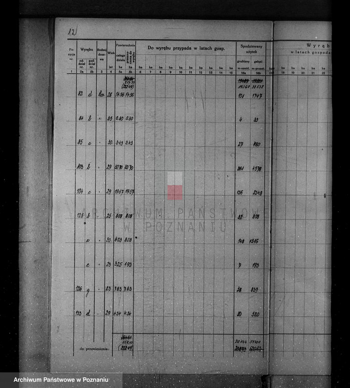 Obraz 18 z jednostki "/Nadzór nad gospodarką leśną w majątku Krucz-Goraj w powiecie czarnkowskim Nadleśnictwo Goraj/"