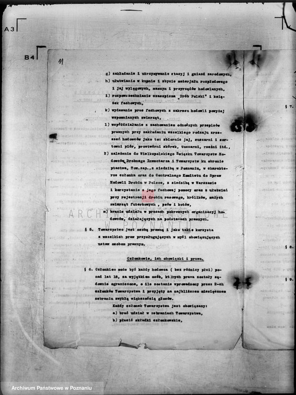 Obraz 17 z jednostki "/Towarzystwo Ornitologiczne w Poznaniu/"