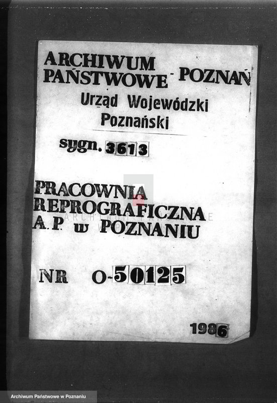 Obraz 1 z jednostki "Zalesienie nieużytków w powiecie mogileńskim"