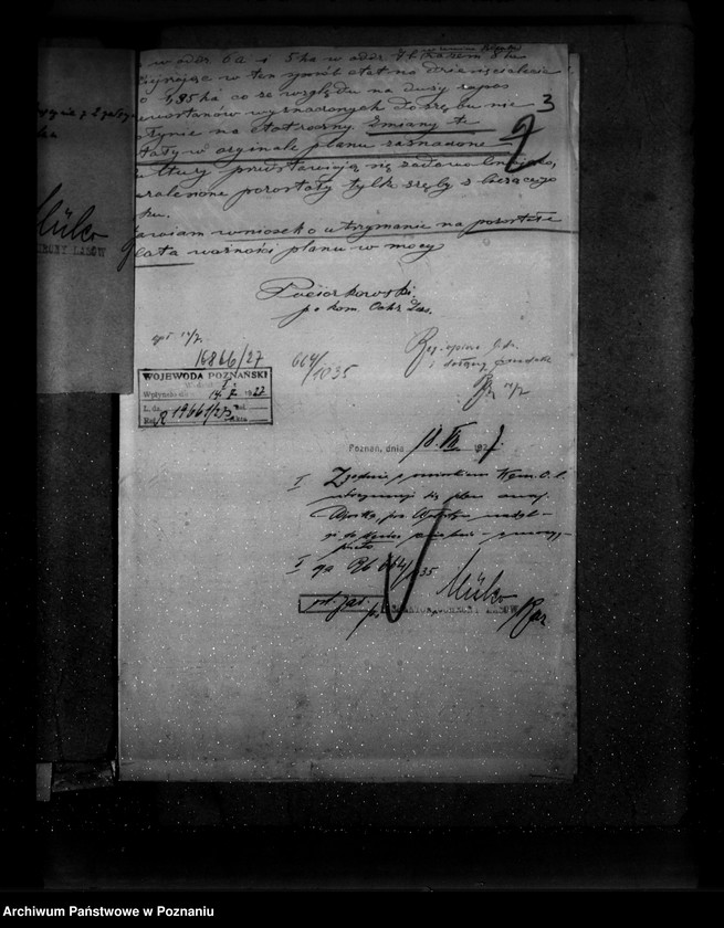 Obraz 7 z jednostki "Majętność leśna Wioska powiat wolsztyński"