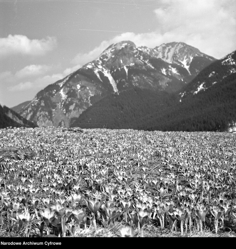 image.from.unit.number "Tatry"