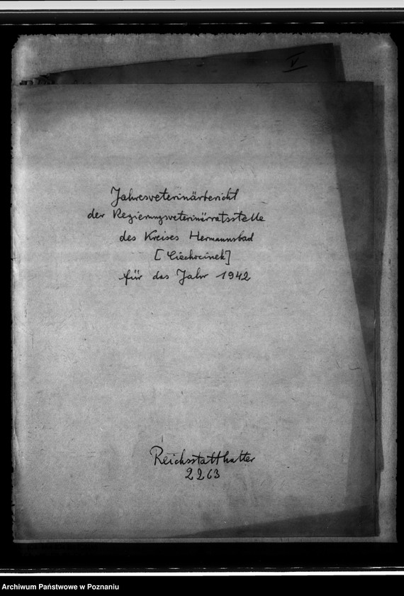 Obraz 4 z jednostki "Jahresveterinärbericht der Regierungs- Veterinärratstelle des Kreises Hermannsbad"