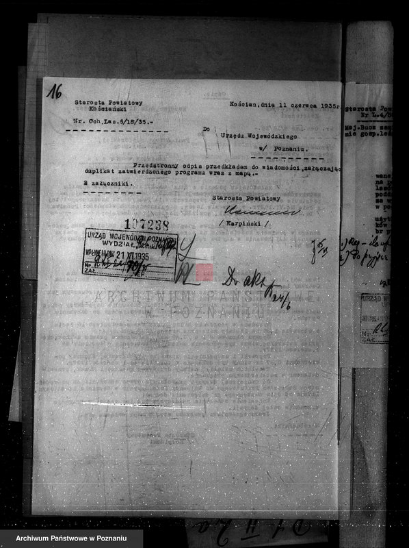 Obraz 20 z jednostki "Nadzór nad gospodarką w lasach majętności Bucz powiat kościański"