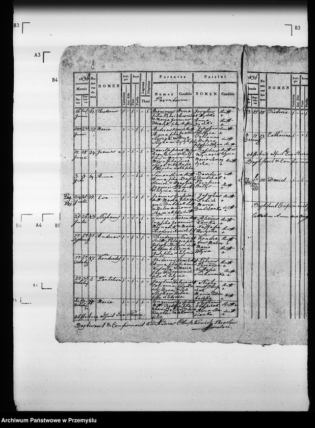 Obraz 12 z jednostki "[Kopie ksiąg metrykalnych parafii Zdynia z filiami Konieczna, Ług (dekanat Gorlice)]"