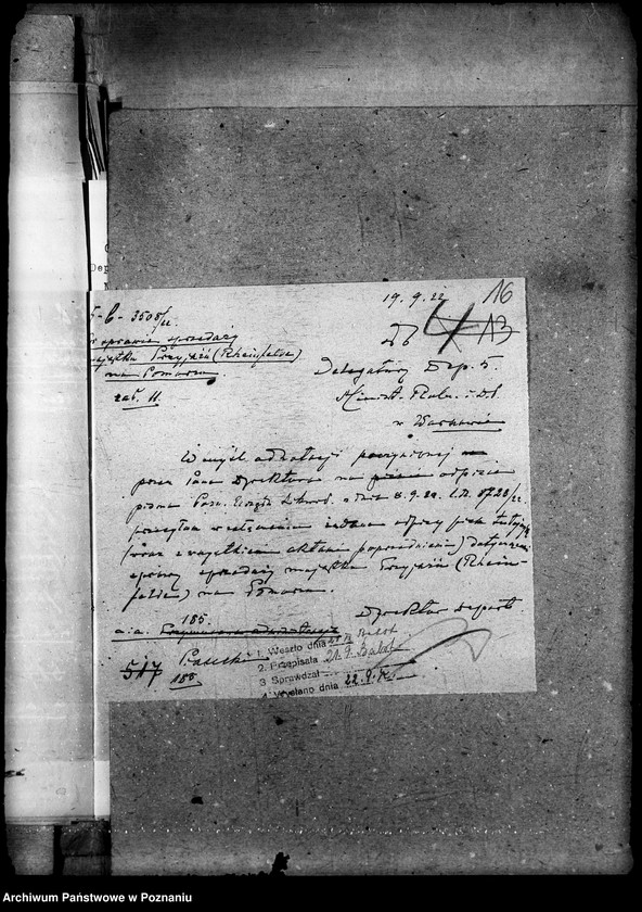 Obraz 20 z jednostki "Majątki prywatne [sprzedaż majątku "Przyjaźń" - Reinfelde na Pomorzu]"