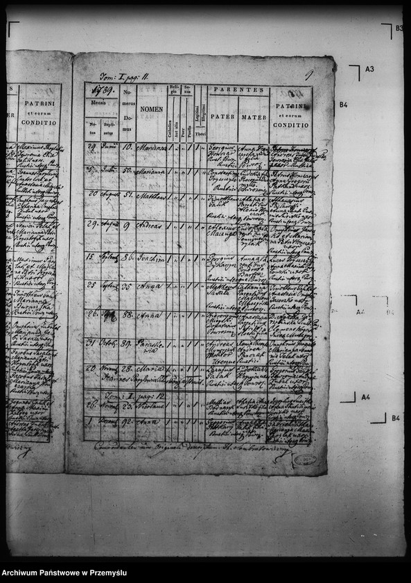 Obraz 13 z jednostki "[Kopie ksiąg metrykalnych parafii Powroźnik (dekanat Muszyna)]"