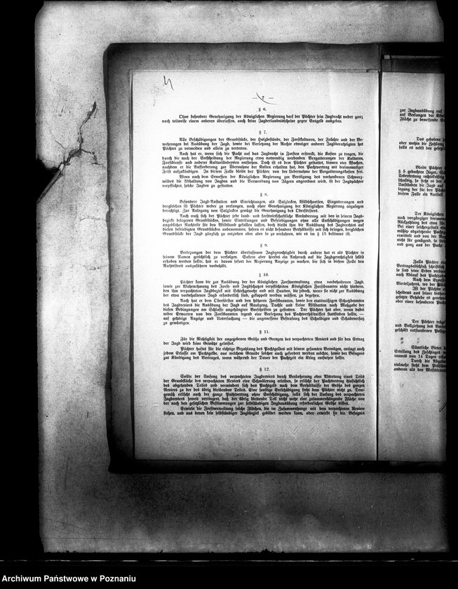 Obraz 8 z jednostki "Polowanie na jeziorze Bytyńskim Komorowo-Gorzewice"