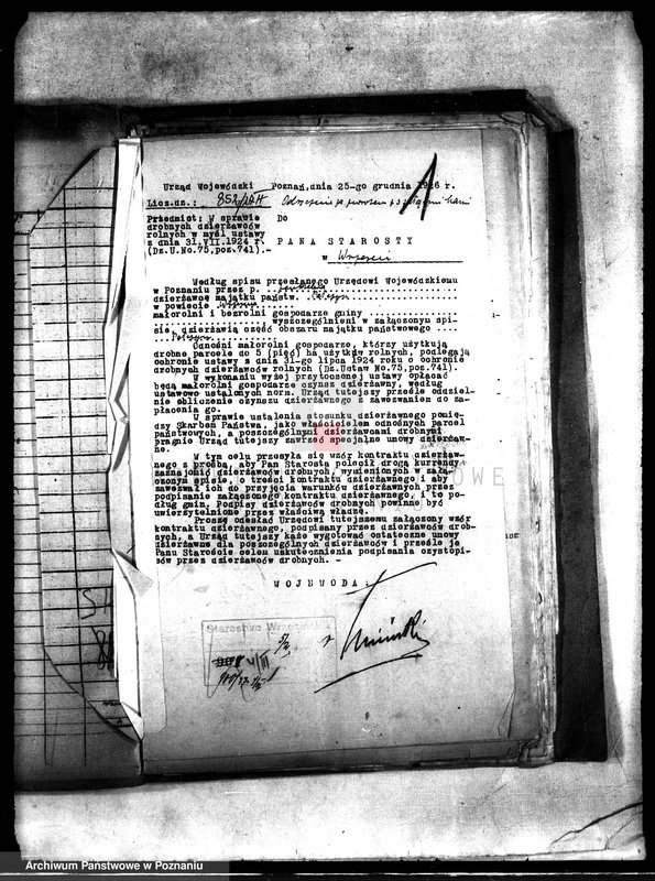 Obraz 5 z jednostki "Poddzierżawy majątku państwowego Pałczyn"