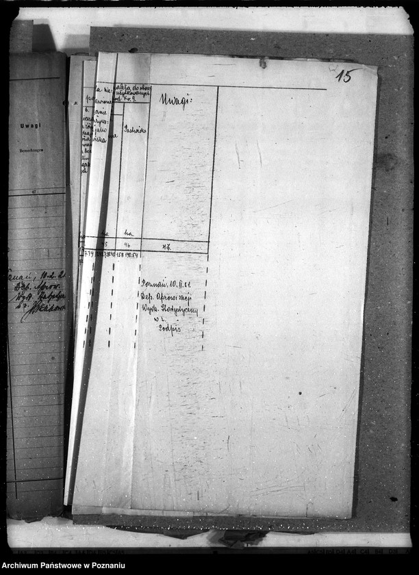 Obraz 19 z jednostki "Statystyka"