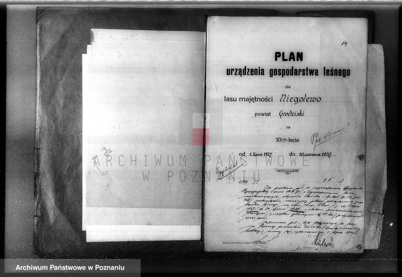 Obraz 20 z jednostki "Plan urządzenia gospodarstwa leśnego dla lasu majątku Niego lewo powiat nowotomyski 1927-1937"