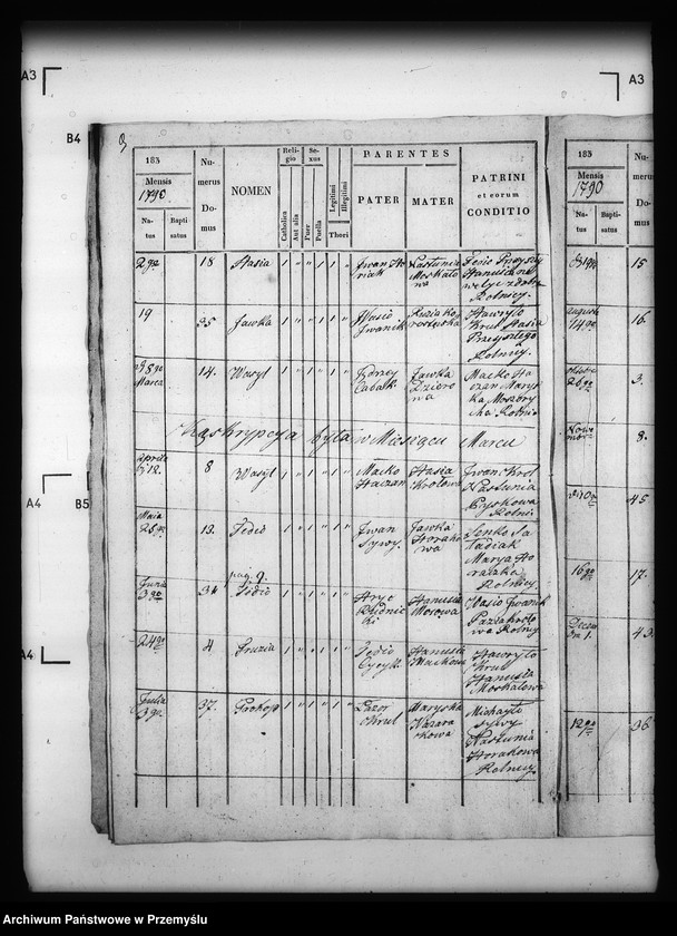 Obraz 13 z jednostki "[Kopie ksiąg metrykalnych parafii Michowa z filią Wełykie (dekanat Dobromil)]"