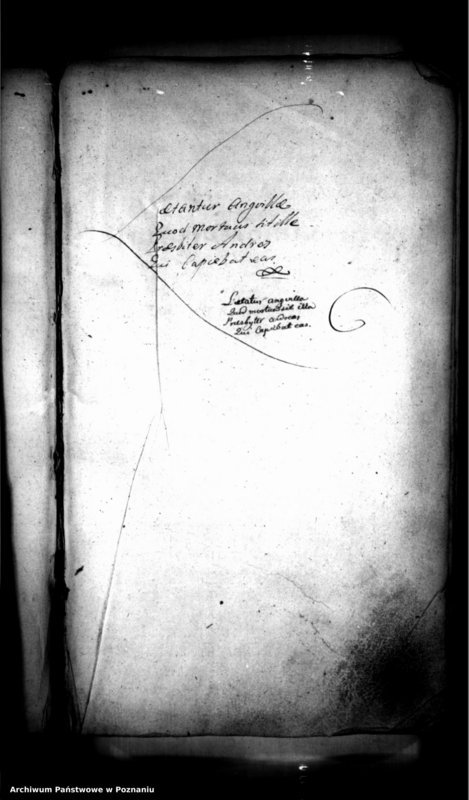 Obraz 5 z jednostki "Inscriptiones [inducta]"