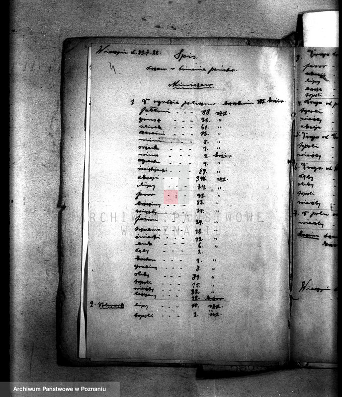 Obraz 8 z jednostki "Drzewostan w majętności państwowej Miniszew"