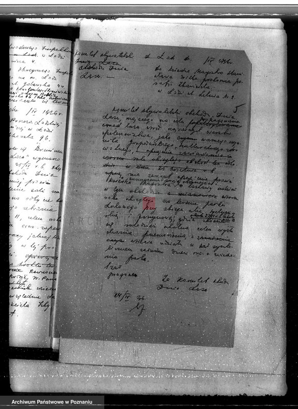 Obraz 9 z jednostki "Sprawa pojawienia się borecznika w lasach majątku Dąbia powiatu kolskiego"