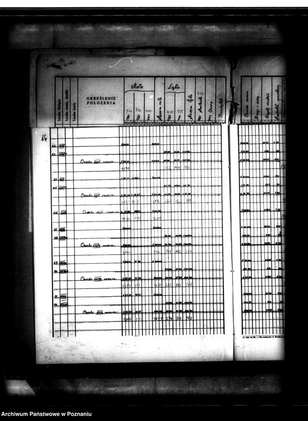 Obraz 20 z jednostki "Tymczasowy rejestr pomiarowo-parcelacyjny majątku Duszniki powiatu szamotulskiego"