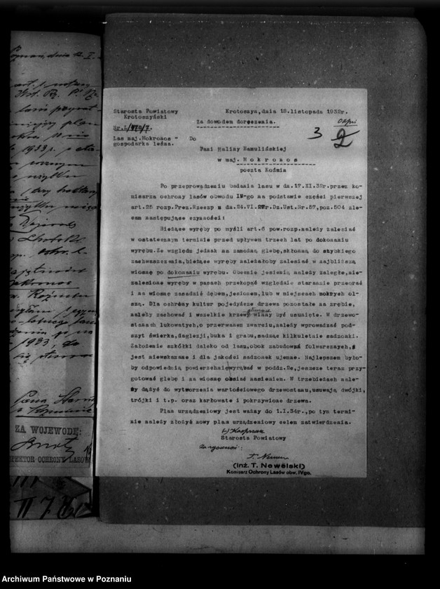 Obraz 7 z jednostki "Nadzór nad gospodarką leśną majętności Mokronos powiat krotoszyński"