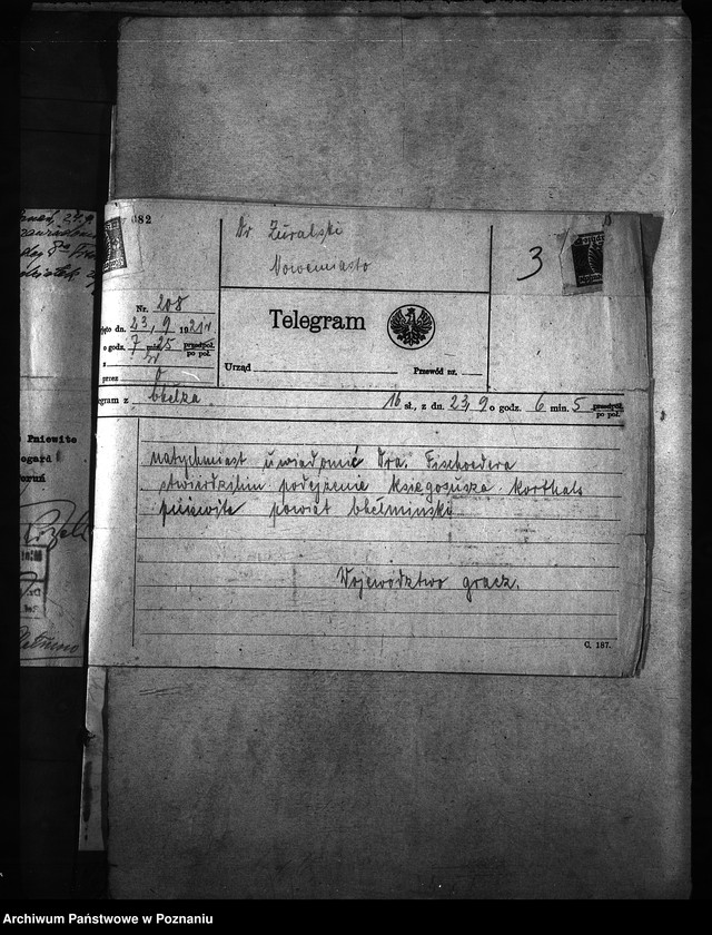 Obraz 8 z jednostki "Księgosusz - Chełmno"