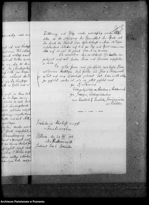 Obraz 7 z jednostki "Majątki zaniedbane"