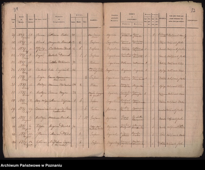 Obraz 14 z jednostki "Księga urodzeń, małżeństw i zgonów"