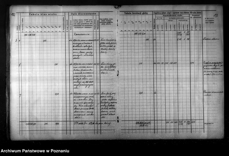 Obraz 11 z jednostki "Plan gospodarstwa leśnego dla lasu Jaegera Waltera gmina Zatom Nowy powiat międzychodzki 1933-1944"