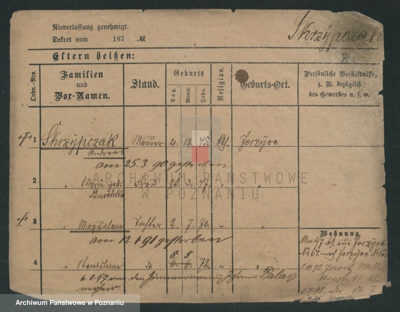 Obraz 17 z jednostki "Skrzypczak (żonaci - samotni mężczyźni)"