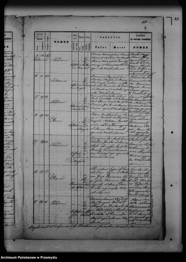 Obraz 8 z jednostki "[Kopie ksiąg metrykalnych parafii Werchrata z filią Prusie (dekanat Rawa Ruska)]"