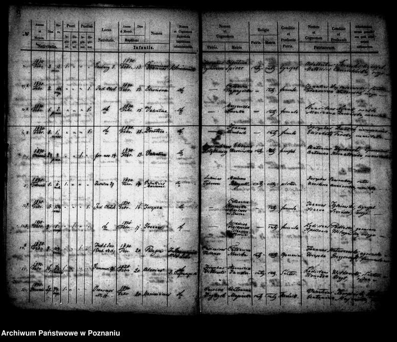 Obraz 6 z jednostki "Księga urodzin"