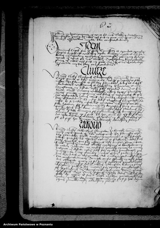 Obraz 17 z jednostki "Inscriptiones, relationes, decreta [inducta]"