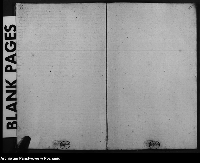 image.from.team "Akta stanu cywilnego Parafii Rzymskokatolickiej Krzywiń (pow. kościański)"