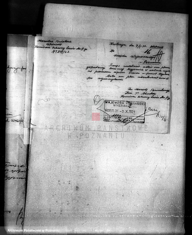 Obraz 20 z jednostki "Majętność Myjowice powiat kępiński"