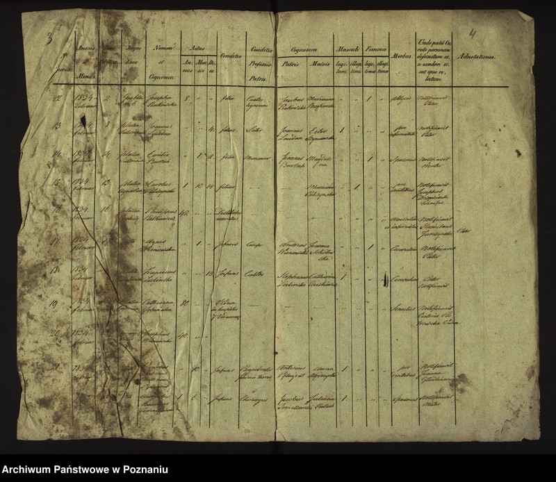 Obraz 5 z jednostki "Księga zgonów"