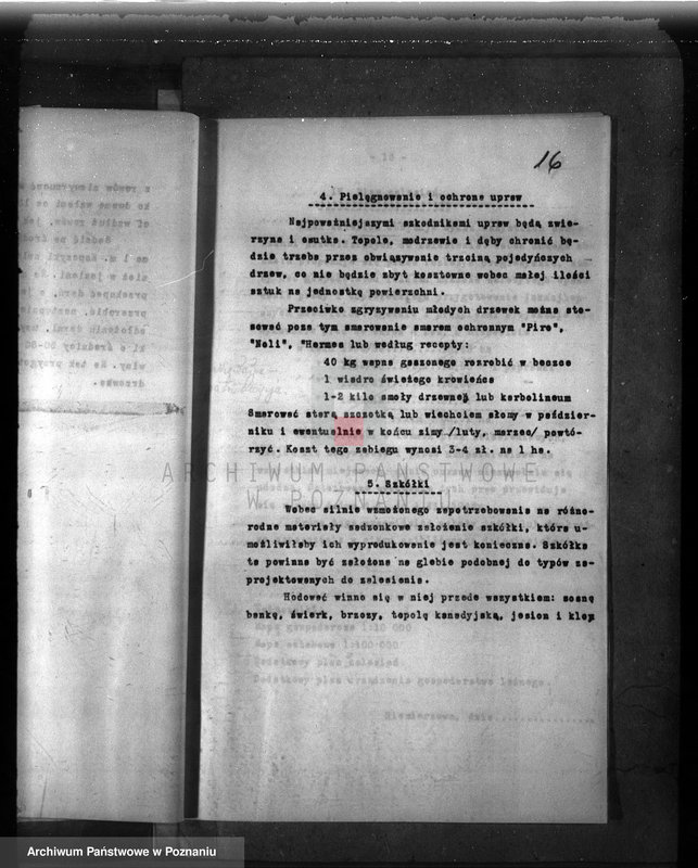 Obraz 20 z jednostki "Dodatkowy plan gospodarstwa leśnego majątku Niemierzewo powiatu międzychodzkiego 1938-1948"