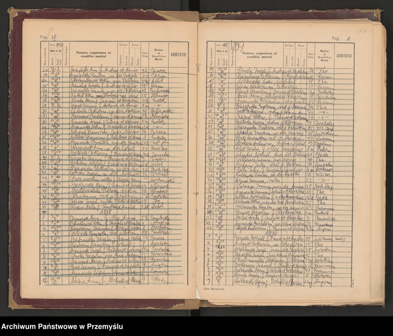 image.from.unit.number "Księga zgonów - wpisy dla miejscowości Lubaczów, Ostrowiec, Krowica, Lisie Jamy, Dąbrowa, Opaka, Dąbków, Załuże, Młodów-Antoniki - odpis"