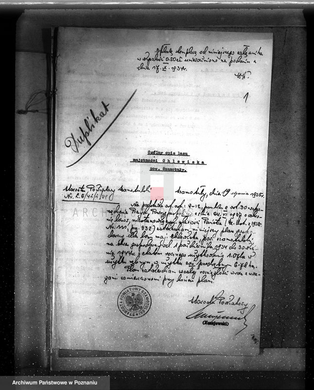 Obraz 5 z jednostki "Plan urządzenia gospodarstwa leśnego majątku Chlewiska w powiecie szamotulskim"