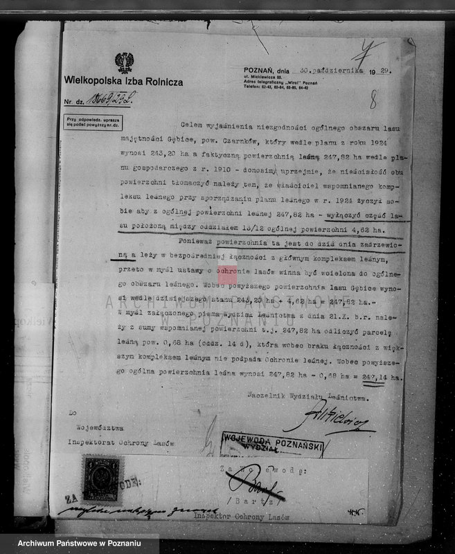 Obraz 12 z jednostki "/Nadzór nad lasami/ majętności Gębice powiatu czarnkowskiego"