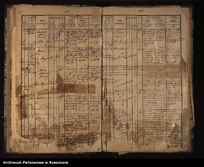 image.from.unit.number "Księga urodzeń dla miejscowości Biecz"