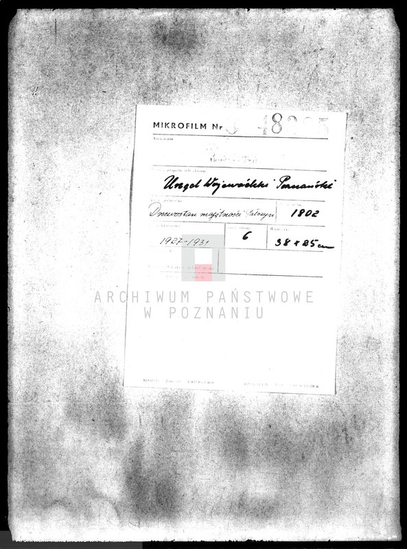 Obraz 2 z jednostki "Drzewostan majętności Pałczyn"