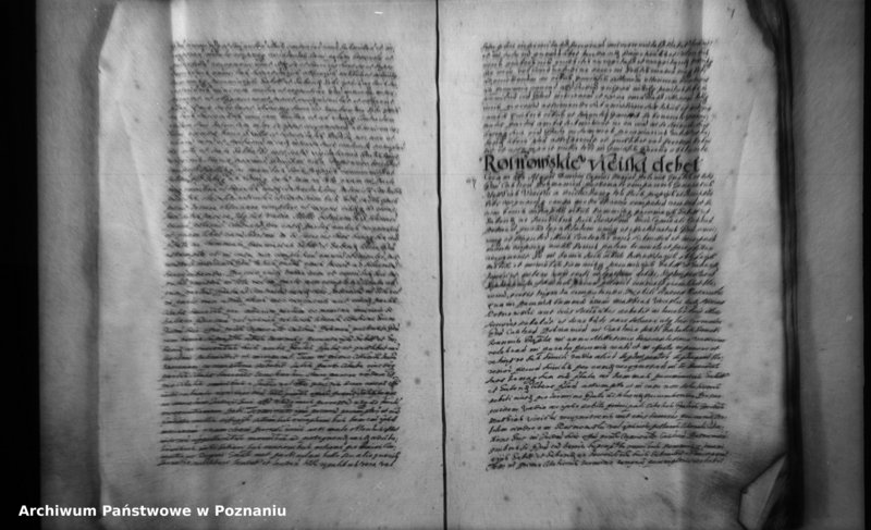 Obraz 11 z jednostki "Inscriptiones [inducta]"