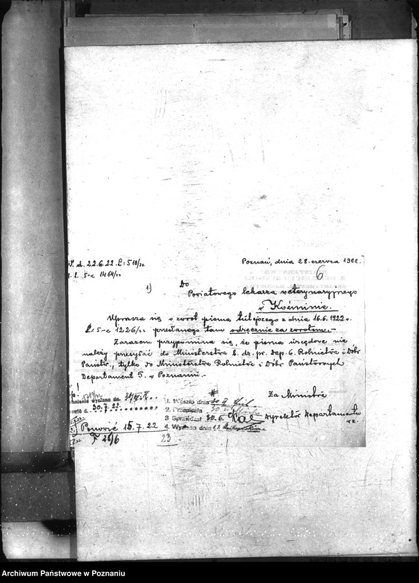 Obraz 10 z jednostki "Nosacizna - Koźmin"