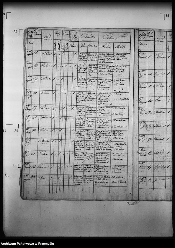 Obraz 17 z jednostki "[Kopie ksiąg metrykalnych parafii Nowa Wieś z filią Łosie (dekanat Muszyna)]"