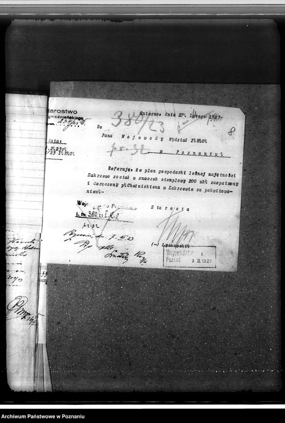 Obraz 12 z jednostki "/Nadzór nad gospodarką leśną/ majętności Zakrzewo powiecie gnieźnieńskim"