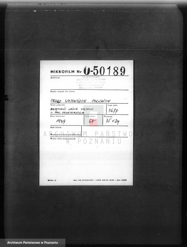 Obraz 2 z jednostki "/Majętność leśna Wąsowo w powiecie nowotomyskim/"