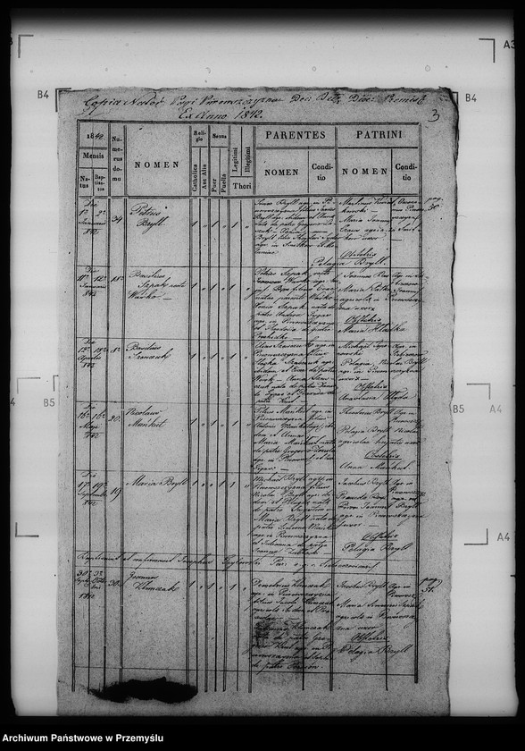 Obraz 7 z jednostki "[Kopie ksiąg metrykalnych parafii Siebieczów z filiami Leszczaków, Piwowszczyzna, Rusin, Wierzbiąż (dekanat Bełz)]"