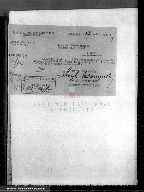 Obraz 5 z jednostki "Gmina Szyminowice powiat koniński /nadzór nad gospodarką leśną/"