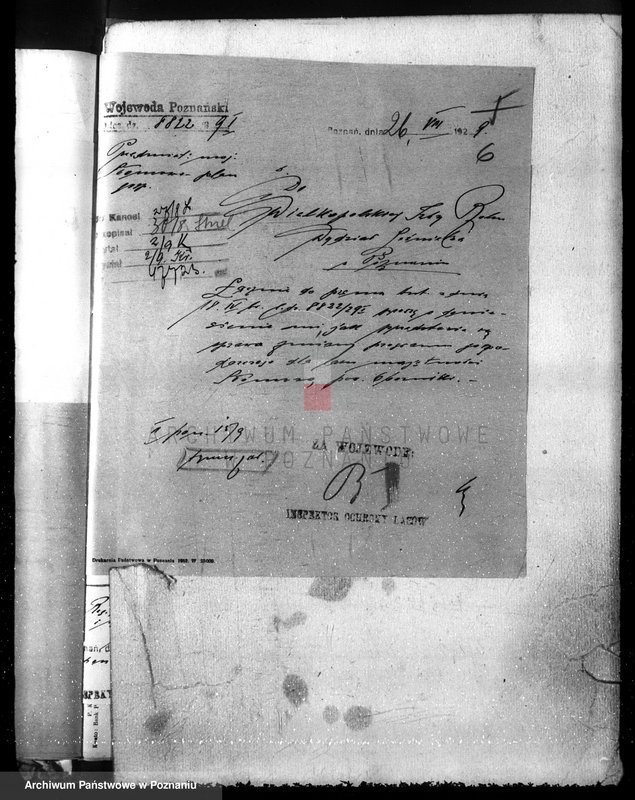 Obraz 10 z jednostki "Las majętność Słomowo-Pacholewo powiat obornicki"