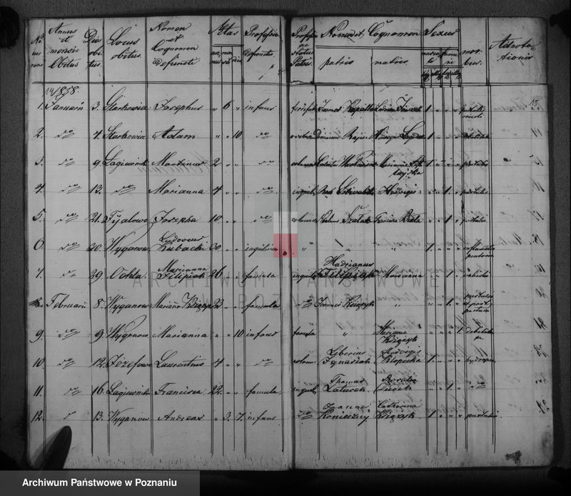 image.from.unit.number "Księga urodzeń, małżeństw i zgonów"