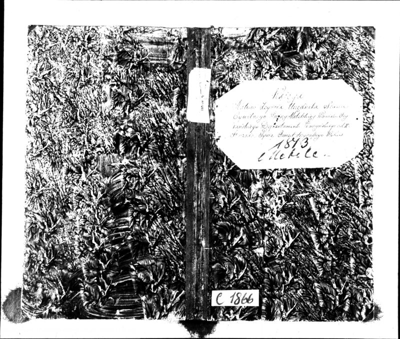 Obraz 2 z jednostki "Księgo Aktów Zeyscia Urzędnika Stanu Cywilnego Gminy Metelskiey Powiatu Seyneńskiego Departamentu Łomżyńskiego od 1-go Stycznia Tysiąc Osimset Trzynastego Roku 1813"