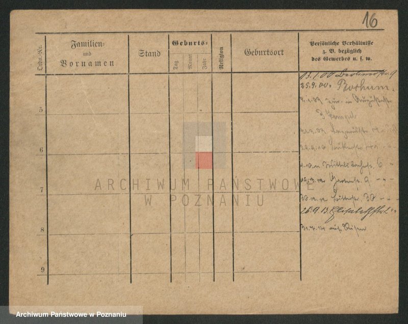 Obraz 16 z jednostki "Knop - Knytel"